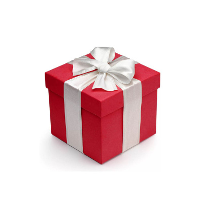 Подарок - Пусконаладка котла (К-0441)