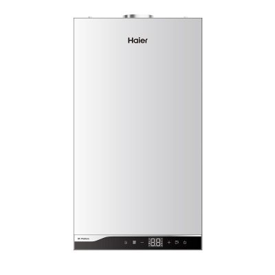 Газовый котел Haier TechLine S 2.24TW (GE0QP2E00RU)